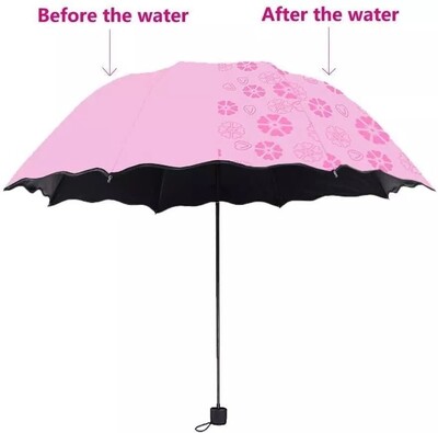 Magic Umbrella