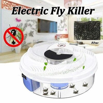 Fly Catcher
