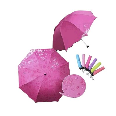 Magic Umbrella 02