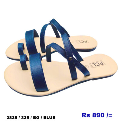 2825 325 BG BLUE