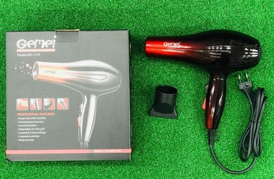 Gemei 1719 Hair Dryer (L0353) 