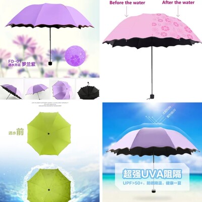 Magic Umbrella 02