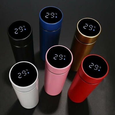 LED Temperature Display Water Bottle