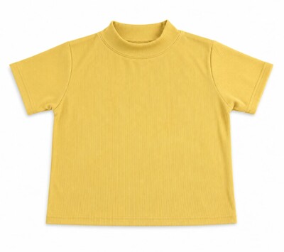 Crop Top (free size)