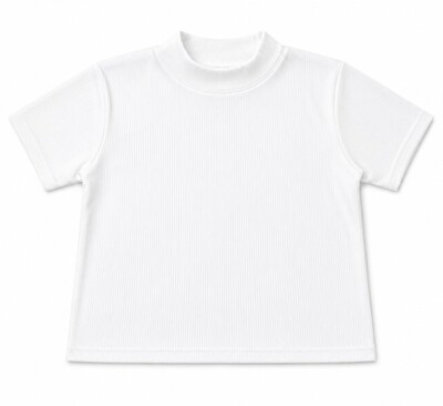 Crop Top (free size)