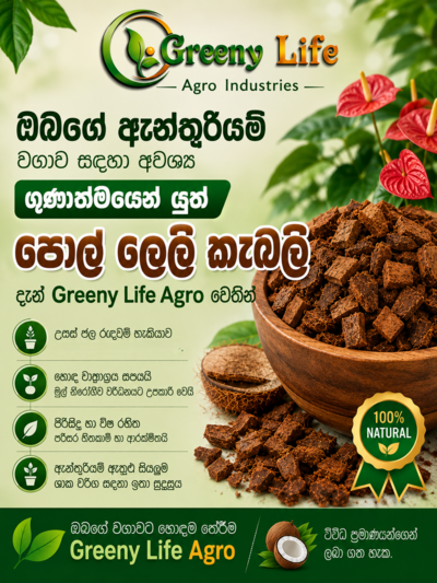 Greeny Life Coco Chips( පොල් ලෙලි කැබලි )
