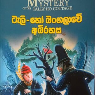 Children 's novel translation 