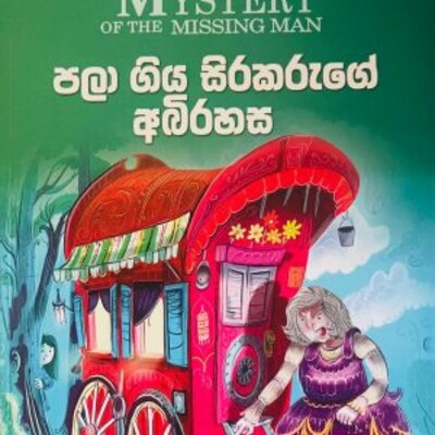 Children 's novel translation 