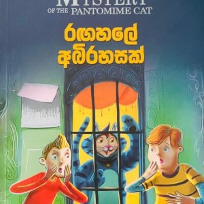 Children 's novel translation 