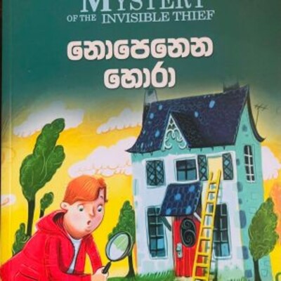 Children 's novel translation 