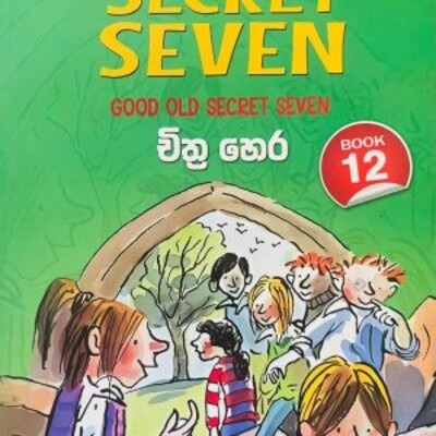 Children 's novel translation 