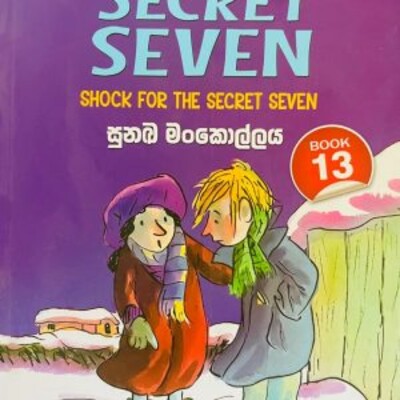 Children 's novel translation 