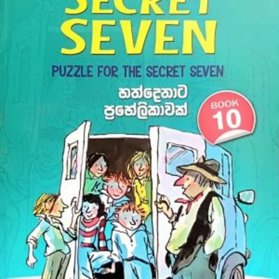 Children 's novel translation 
