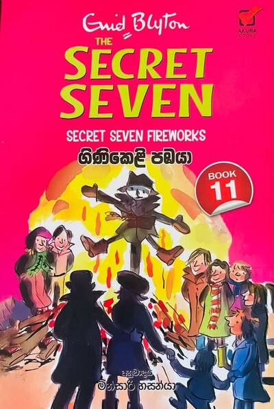 Children 's novel translation 