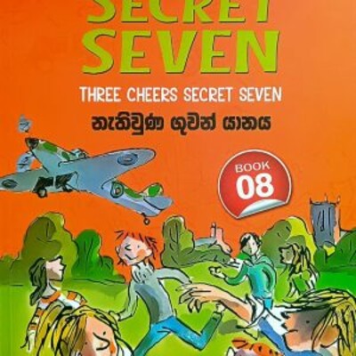 Children 's novel translation 