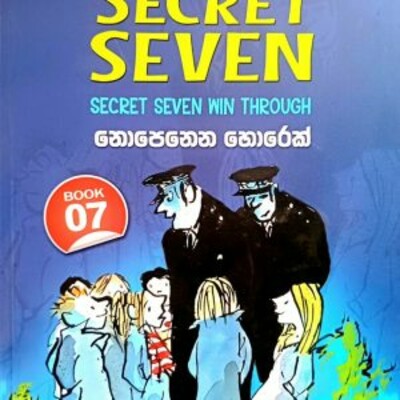Children 's novel translation 