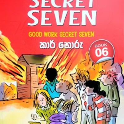 Children 's novel translation 