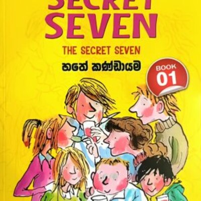 Children 's novel translation 