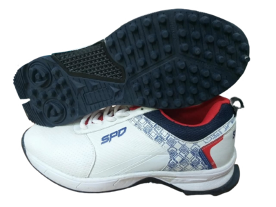 Speed Cricket Shoe Savage